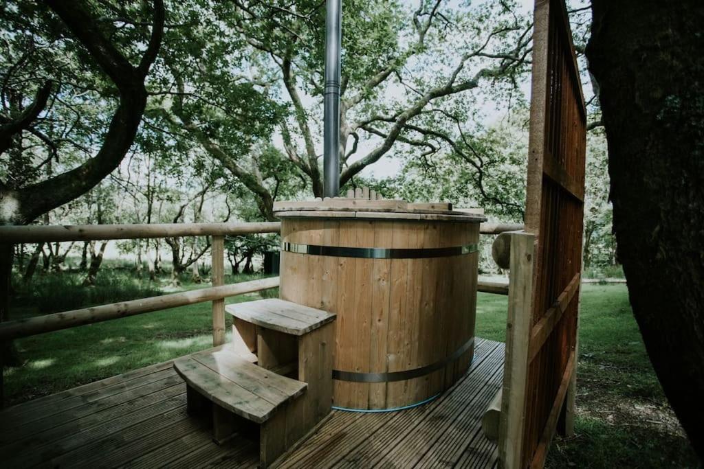 Oak Special Winter Offers - Hot Tub & Log Burner Apartment Barmouth Ngoại thất bức ảnh
